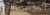 11895e0041b586bdff53f85d2c20be5b