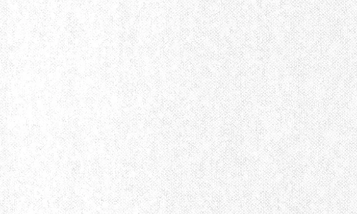 099105a9b97b37f4774e855edb0d740a