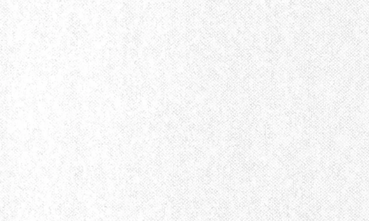 099105a9b97b37f4774e855edb0d740a