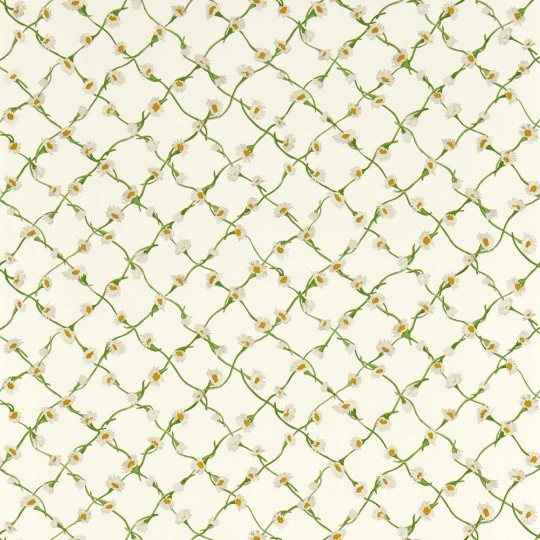 Harlequin 113043 Sophie Robinson Daisy Trellis Emerald/Pearl - tapeta w kwiaty stokrotki