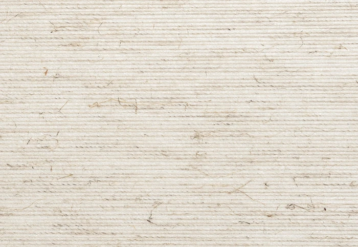 2c5e4a77256899da7727ab37989d37aa