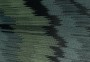 13672591a21c062cfbd66c6e43cfb8b8