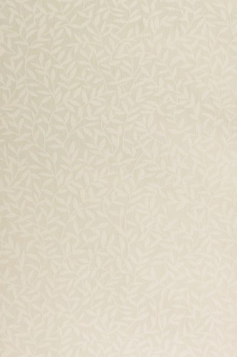 04c29cff783ca65c86e8d942de8d2fd7