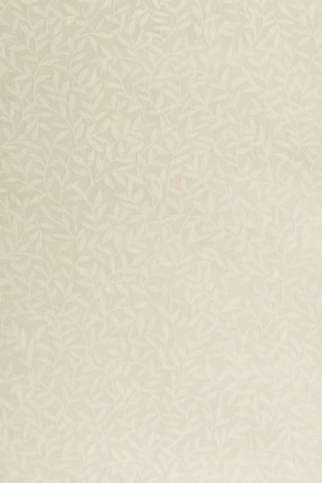04c29cff783ca65c86e8d942de8d2fd7