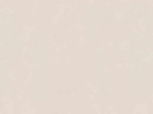 BN Imagine 221058 Blush - tapeta imitująca beton