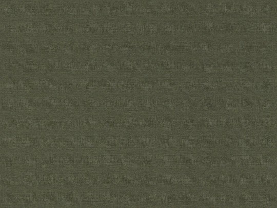 Rasch Textil 302249 Bloomsbury Canvas Dark Green - tapeta jednolita