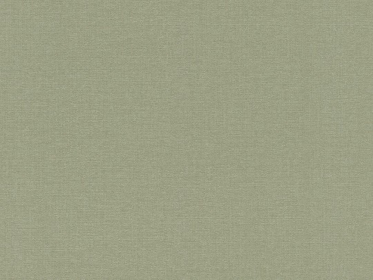 Rasch Textil 302256 Bloomsbury Canvas Green - tapeta jednolita