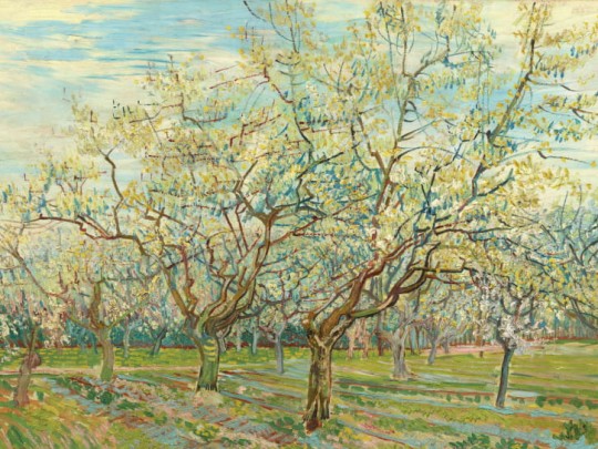BN 300392 Van Gogh 2 The White Orchard - mural biały sad