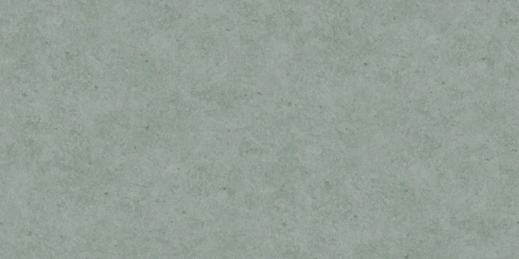 86580405363d1162226b2aa8d2131557
