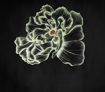 45842d16bdcdd9e5ce1e3ff6b2b6c553