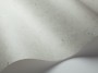 6f62dceb0e579434a9b70963f5e8ec3e