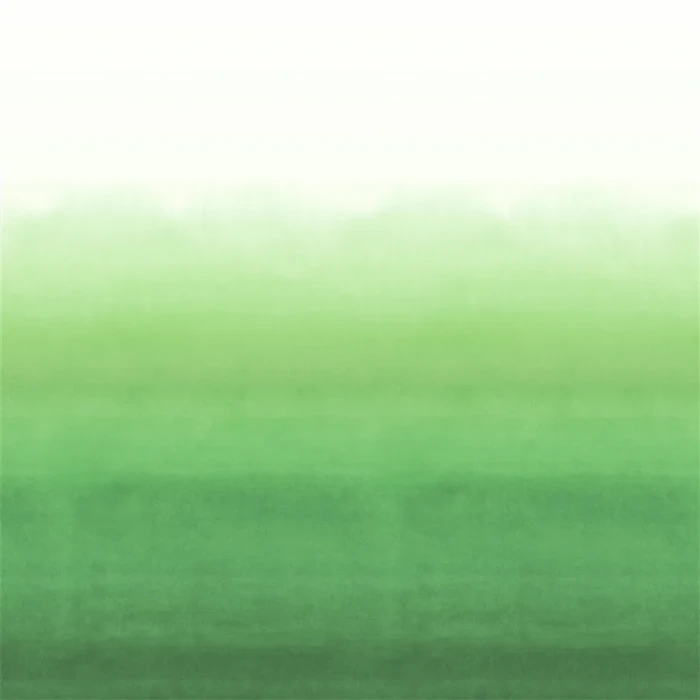 ff5e5665a28ecb2a3b705a55790c7644