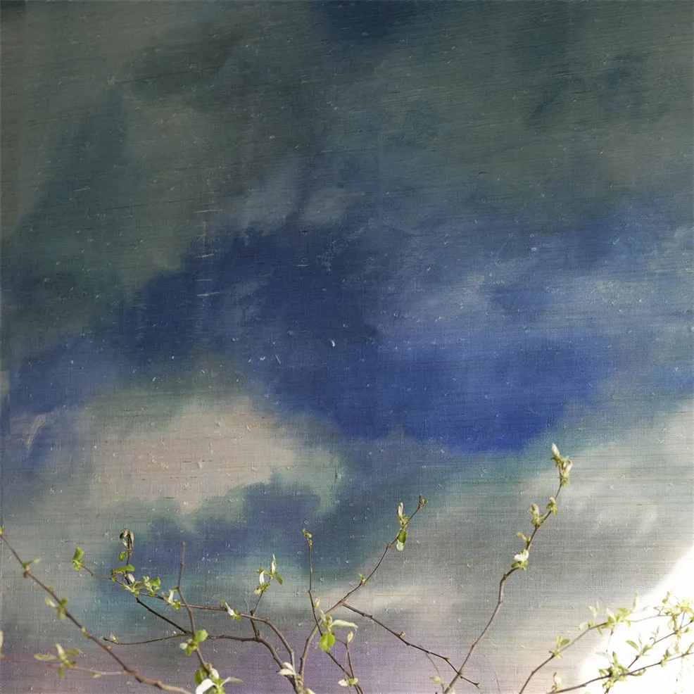 Designers Guild PDG1184/01 Scenes and Murals III Paysage Marin Grasscloth Sky - tapeta w kwiaty