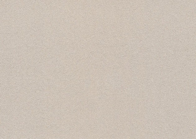 Rasch Textil 213729 Naturalis Mica Shiny Beige - tapeta z naturalnego materiału