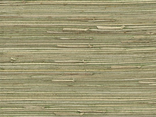 Rasch Textil 215488 Naturalis Gras Geige Green - tapeta z włókna trawy