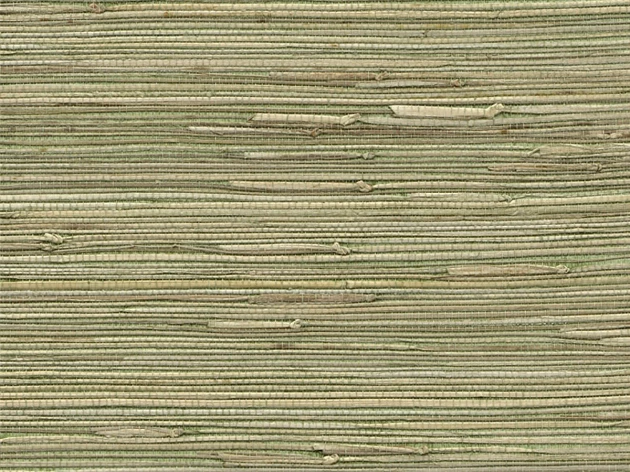 Rasch Textil 215488 Naturalis Gras Geige Green - tapeta z włókna trawy