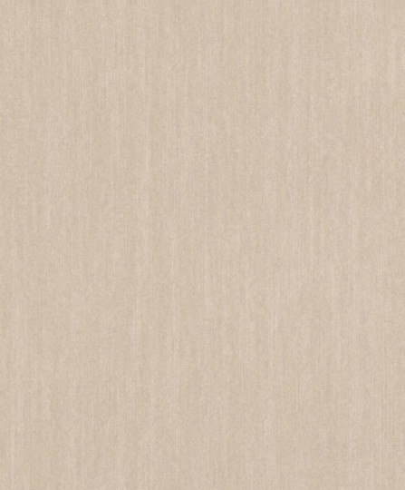 Rasch Textil 300696 Plains Stone Champagne - tapeta imitująca kamień