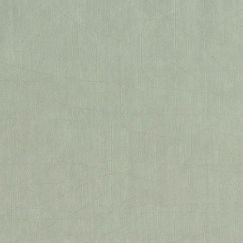 2c87e019cc894aa4da5b311094958cef