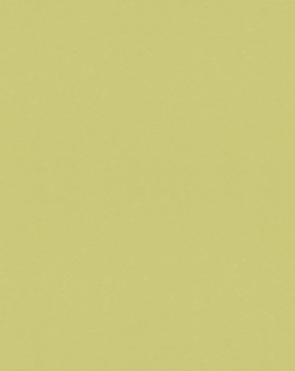 0909b9982d9146762d115050adc71181