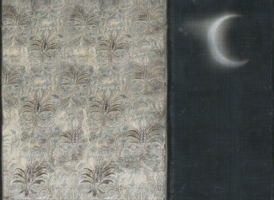Wall & Deco Contemporary 2024 WDCN2401 Canto Novo - mural w ornamentalne kwiaty i księżyc na czarnym tle