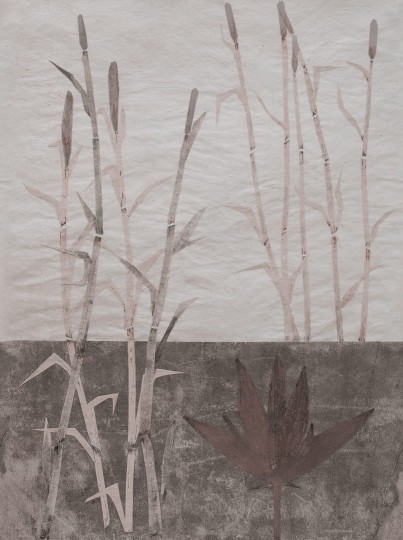 Wall & Deco Contemporary 2024 WDKO2402 Koraju - mural w łodygi na betonowym tle