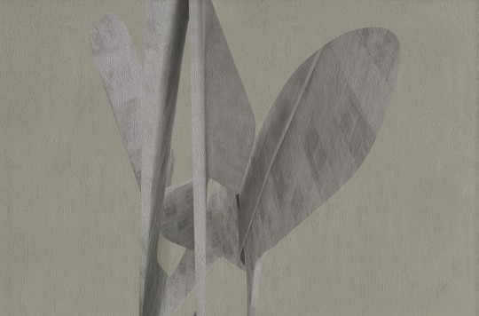 Wall & Deco Contemporary 2024 WDPO2402 Poetico - mural liść w wersji maksi