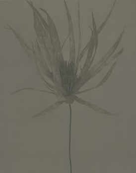 3c5659047a2d839ac230671b51024613