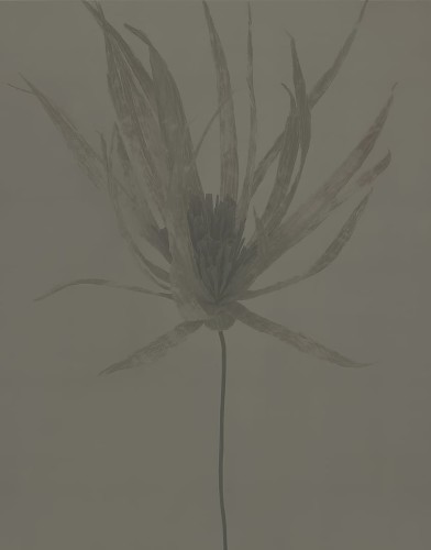 3c5659047a2d839ac230671b51024613