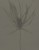 3c5659047a2d839ac230671b51024613