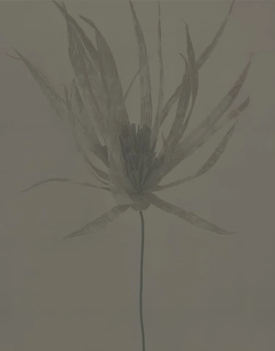 3c5659047a2d839ac230671b51024613