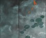 1040afb16b4babce403aaab98cb301ff