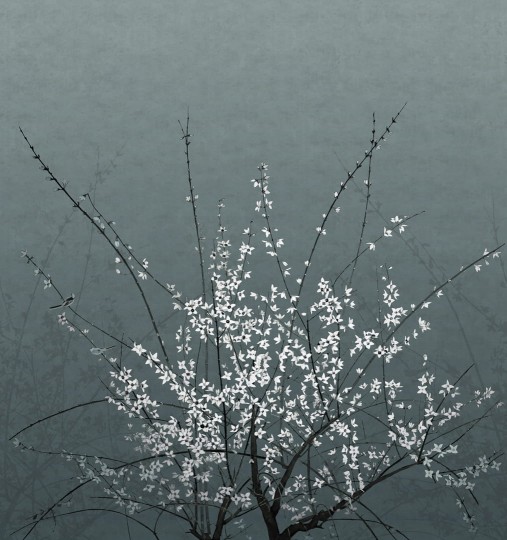 Wall & Deco Contemporary 2024 WDML2402 Mood for Love - mural drzewo wiśni