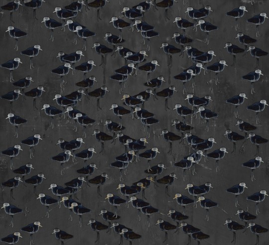 Wall & Deco Contemporary 2024 WDSG2402 Savanna Grace - mural w ptaki