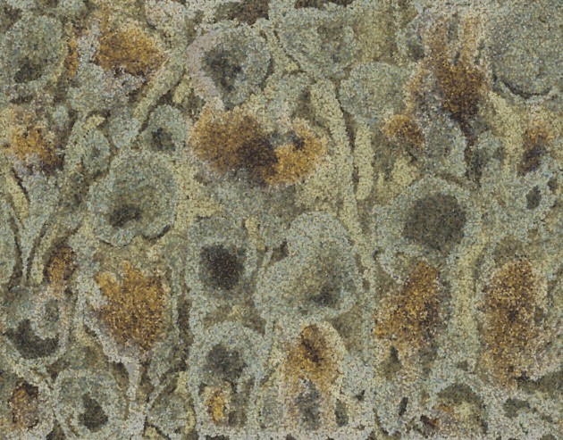 Wall & Deco Contemporary 2024 WDVE2402 Velvet - mural abstrakcyjna roślinność