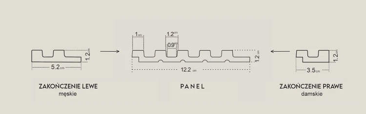 ASTI-panel-i-zakonczenia.jpg