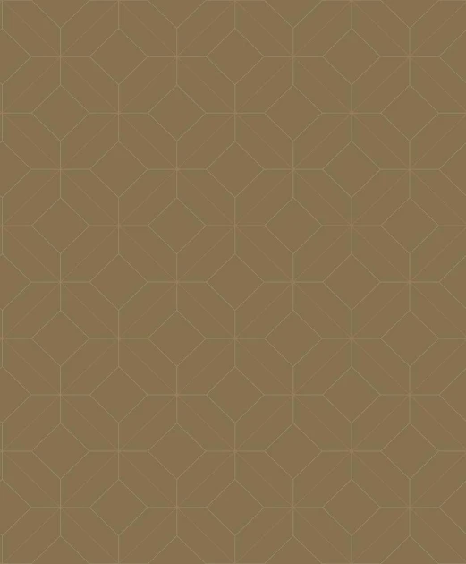 Casadeco 89962874 Alchimie Precision Chamois - tapeta geometryczny rysunek 3D
