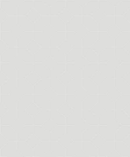 Casadeco 89969700 Alchimie Precision Gris Plume - tapeta geometryczny rysunek 3D