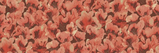 Rebel Walls R19822 Anna Norrman Corals Red - mural w koralowce