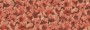 24c46cea09293a8dff43d4770d130080
