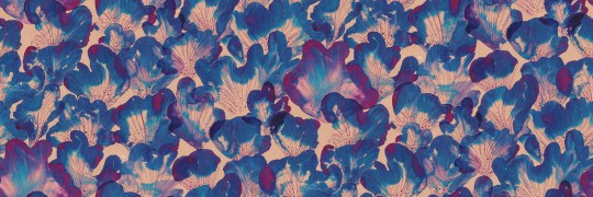 Rebel Walls R19824 Anna Norrman Corals Blue - mural w koralowce