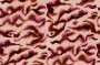 5c665ebe92a2deaaf2cab3c2660d723a