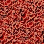22d4ff2ad9e0cc4d9fe83e704053c7f5