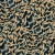 494c485286e29809906afe12e435bdee