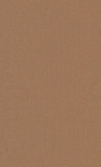 Tapeta BN Texture Stories 18403