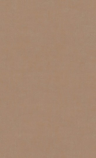 Tapeta BN Texture Stories 218507