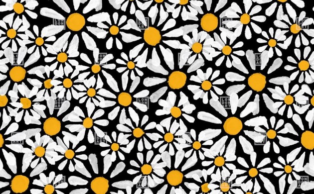 London Art MRN01 2 Marni Euphoria - mural w stokrotki