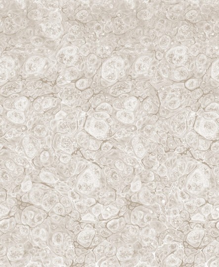 Rebel Walls R18787 Natural Aesthetic Marbling Sand - mural marmur