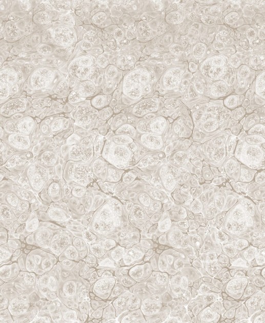 Rebel Walls R18787 Natural Aesthetic Marbling Sand - mural marmur