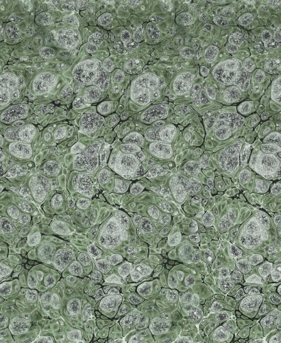 4955665dfd042bf212431e1e493acfd5