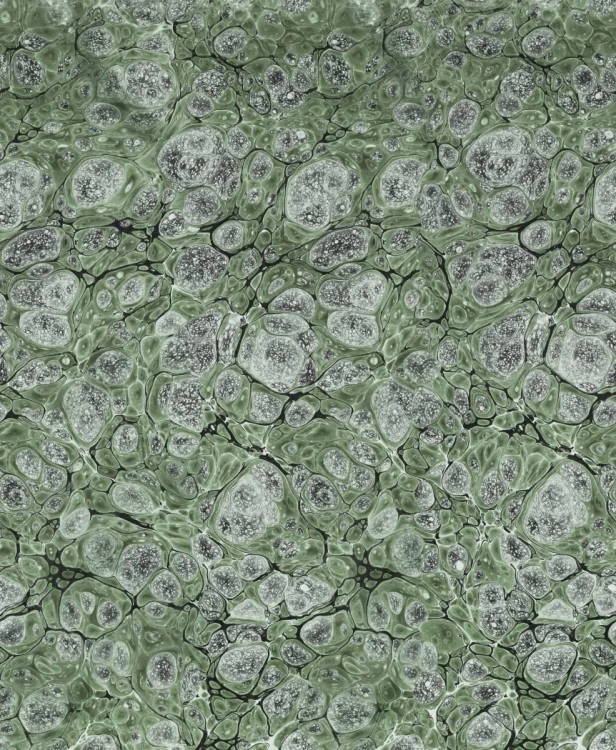 4955665dfd042bf212431e1e493acfd5